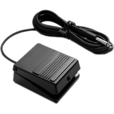 Roland DP-2 Damper Pedal For Punch-Inout Of Record Mode image 1