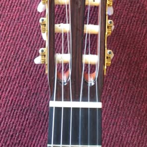 New World Guitar Co Player P650 Cedar image 4