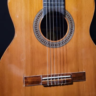 Di Giorgio Romeo 3 1987 Classical Nylon Guitar Violão | Reverb