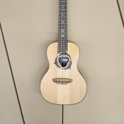 Luna dolphin store concert ukulele