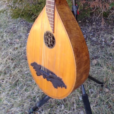 Unknown Guitar Lute 1900 natural image 8