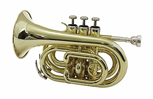 Dimavery TP-300 Bb Pocket Trumpet – Gold | Reverb España