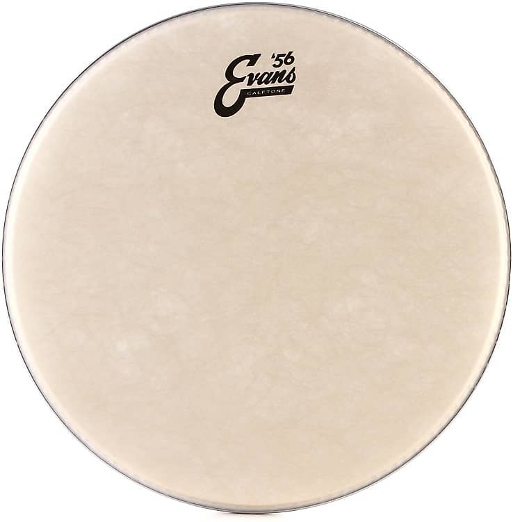 Evans Calftone Drumhead - 14 inch image 1