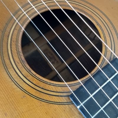 Vintage George Washburn Parlor  Acoustic Guitar - ( Est: 1880-1920 ) image 8