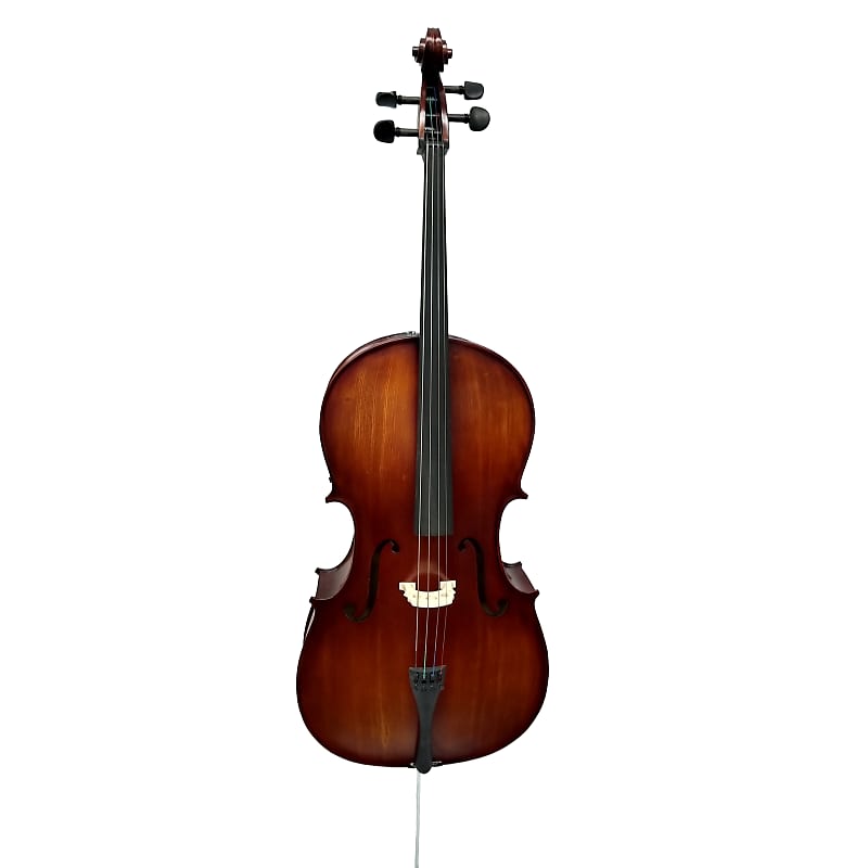 Vienna Strings Hamburg Cello image 1