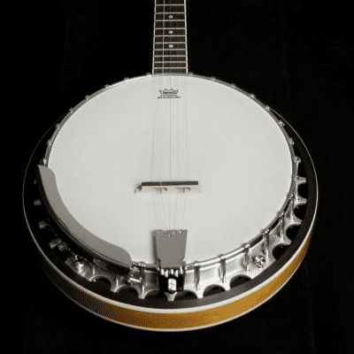Washburn Americana 5-String Resonator Banjo - Sunburst - B9 image 2