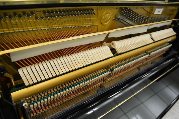 Yamaha u1x 2025