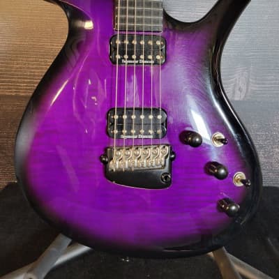 Parker Fly Electric Guitar (Lombard, IL) image 1