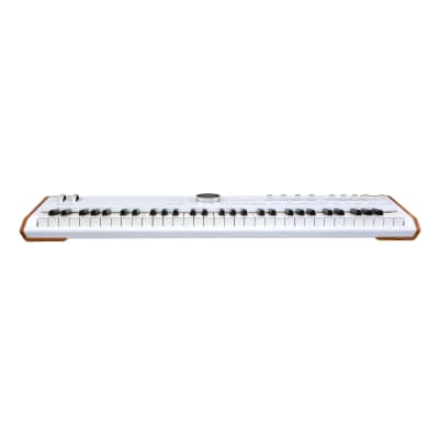 Arturia AstroLab Avant-Garde 61-Key Stage Keyboard image 5