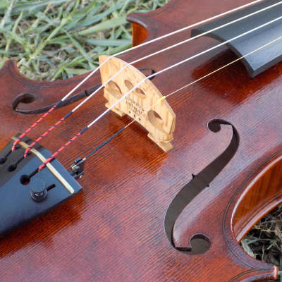 Professional Violin, Antique Dark Brown Varnish, Handmade in Kansas USA by Colton Mulder, Crow Creek Fiddles 2023 image 1