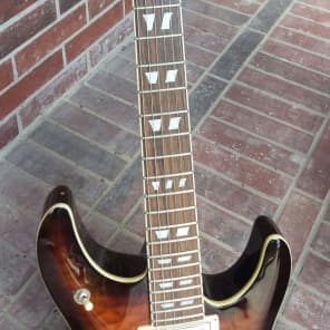 Schecter C-1 E/A 2011 Burst,Schecter Case,Locking Tuners,Qpart Knobs, Special Order Tuning Buttons image 1