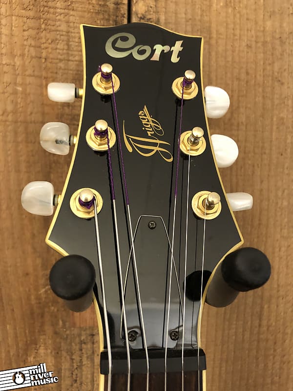 Cort TRG-1 Jim Triggs Hollow Body MIK Electric Guitar Blue Cort TRG-1 Jim Triggs Hollow Body MIK Electric Guitar Blue