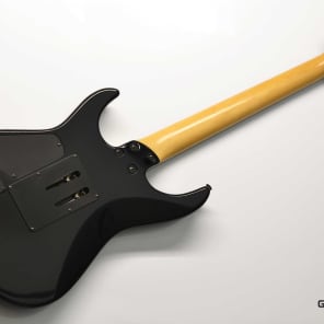Fernandes FR-55 1995 | Reverb