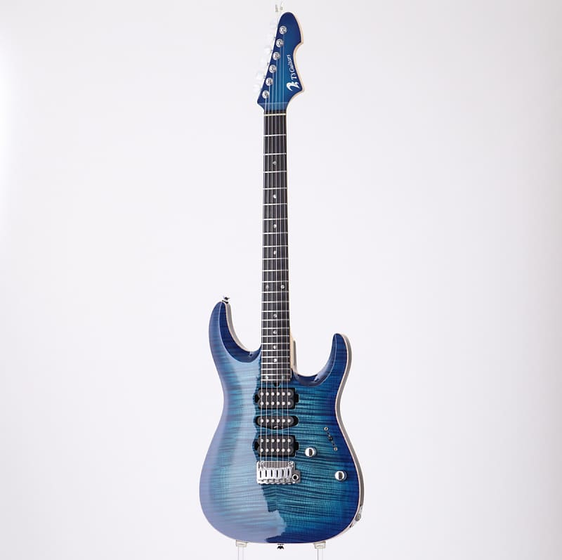 T’s guiters DST-24 order DST-Pro24 · T's Guitars