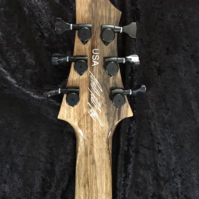 Black Diamond Custom Super V Guitar w/case image 9