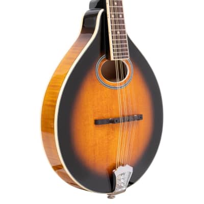 Gold Tone GM-50+ A-Style Acoustic Electric Mandolin with Pickup and Gig Bag image 2