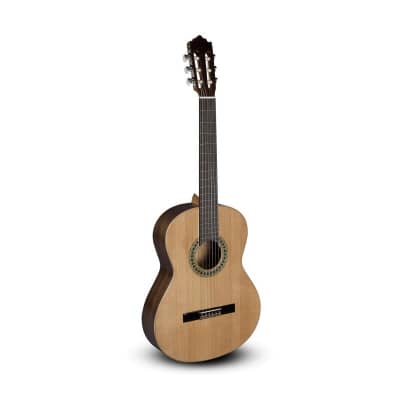 Guitarra Clasica PACO CASTILLO 201 3/4 Glossy for sale