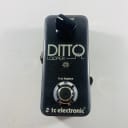 TC Electronic Ditto Looper *Sustainably Shipped*
