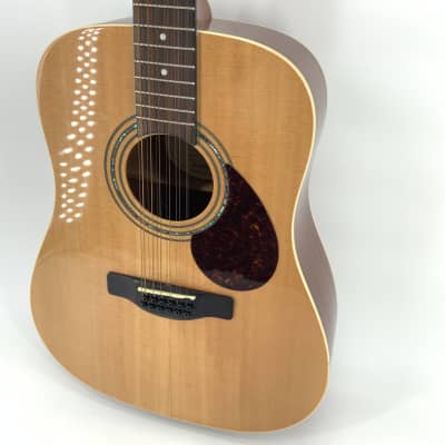 Samick Greg Benett Design 12 String Acoustic Guitar Model D-2-12 image 7