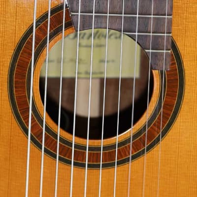 Bartolex SLC10CEL Classical 10-String Harp Guitar, w/Pickup, Cutaway, Sound Port, w/Softshell Case image 16