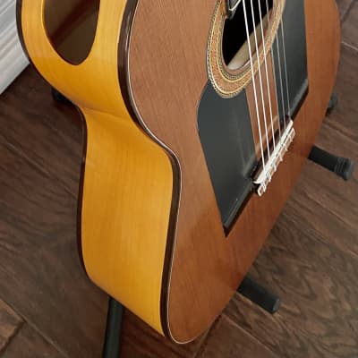 Darren Hippner Especial Barbero Flamenco Guitar Blanca 2023 Free Spanish Cejilla image 19