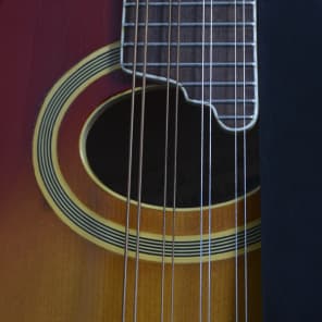 Gibson A-5 "Jethro Burns" Mandolin 1969 image 3