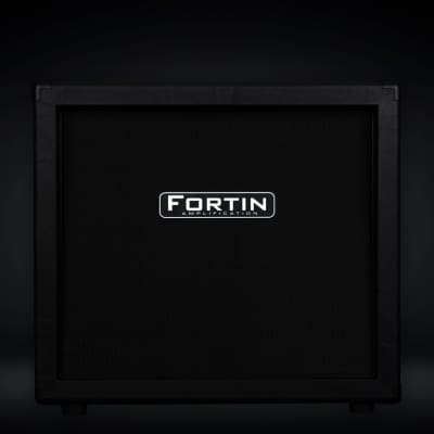 FORTIN 1X12 Guitar Speaker Cabinet image 3