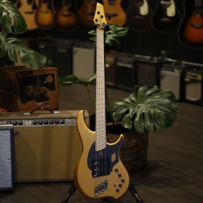 Dingwall Guitars NG3 Adam Nolly Getgood Signature 4 String Bass, Gold for sale