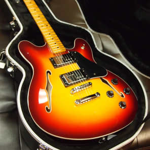 Fender discount starcaster case