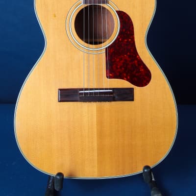Harmony Sovereign H1203 1971 / A True Beauty! image 2