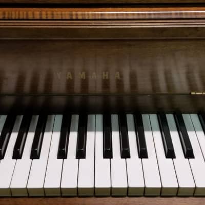 Yamaha M204 Console Piano Sn 105689 Walnut see video image 2