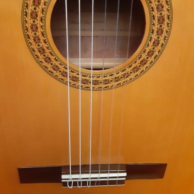 Vintage Ventura V-1584 Classical Nylon String Guitar, Gig Bag, Tuner, Picks image 4