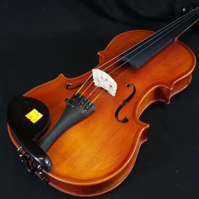 Vivace 4/4 Violin, Case & Bow EM 230 Satin Finish Solid Top image 1