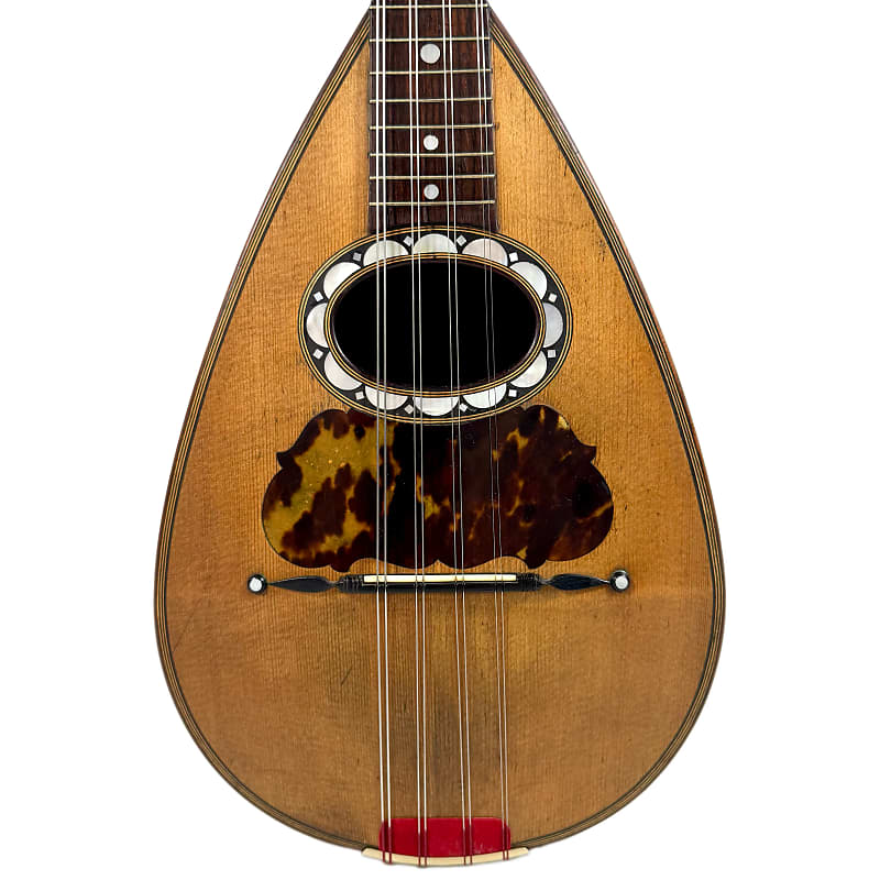 Pasquale Vinaccia Mandolin from 1883 image 1