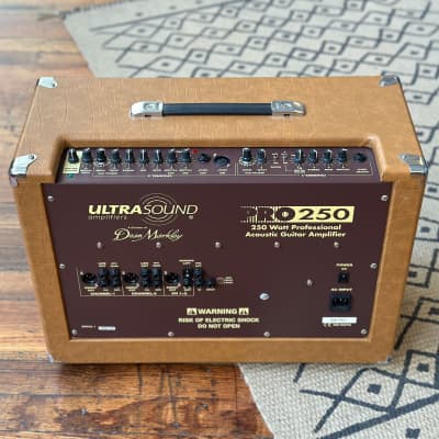 UltraSound Dean Markley Pro-250 Acoustic Amplifier image 9