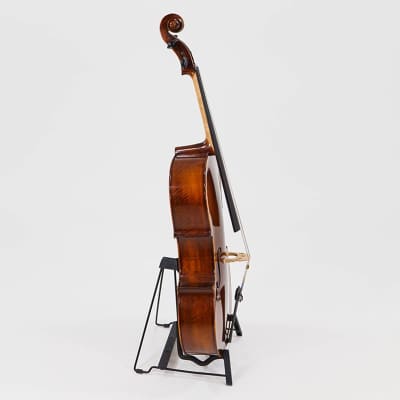 Eastman VC305 Andreas Eastman Step Up Professional Series Cello - 3/4 image 2