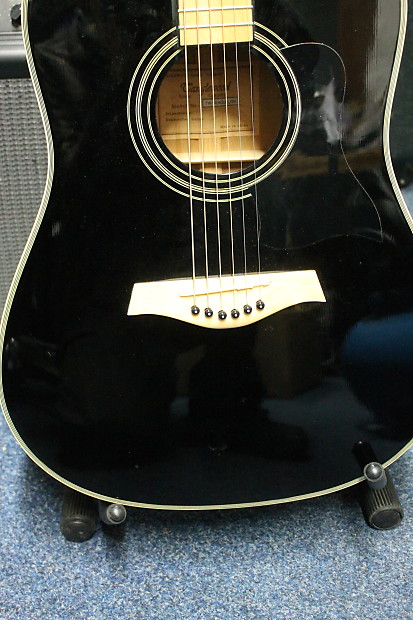 Tanglewood Seagull Cedar topped Acoustic Dreadnought