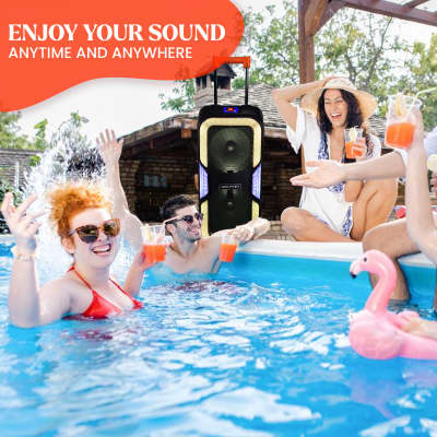 Dolphin SP-1060RBT Dual 10" BOLD Deep Bass Party Speaker with Light Show image 8