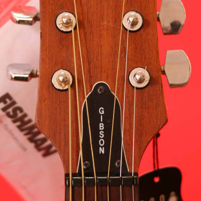 Vintage Epiphone PR-200/NA Acoustic Electric Guitar By Gibson With Deluxe  Case