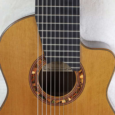 RARE Lucio Nuñez 10-String Classical Harp Guitar w/Cutaway, Arm Rest, Sound Port, Cedar/Cocobolo, TKL Hardshell Case image 11