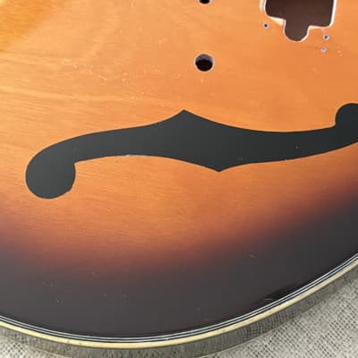 Vintage Orlando 300 Hollowbody Electric Guitar Project HUSK Japan Country Gentleman Copy image 8