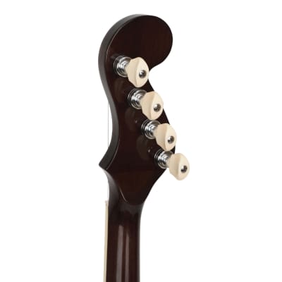 Gold Tone Banjola+ Wood-body Banjo w/Pickup image 7