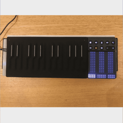 ROLI Songmaker Kit - Garageband Edition Seaboard Block, Lightpad M, Loop  Block, Snap case + cable