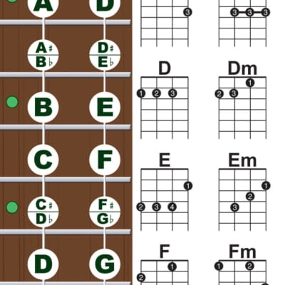 Beginner Ukulele Chords & Notes Poster Green For Soprano 