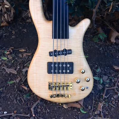 Warwick Streamer Jazzman 5 String fretless Bass 2000s - | Reverb