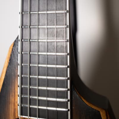 Victum Guitars Verus Zebra 2021 Natural, burst Custom USA made image 7