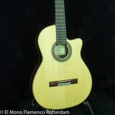 Cashimira 130C Palosanto Thinline Cutaway 2017 Out of Production made in Spain by Joan Cashimira image 1