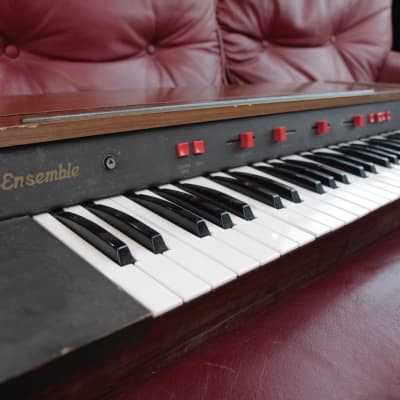 ARP Solina String Ensemble Polyphonic Analog Synthesizer 1974 - 1979 - Black image 7