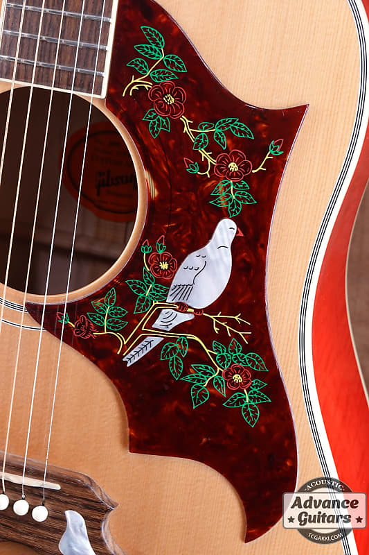 ギター gibson custom shop DOVE 2015 2015 Gibson Custom Shop Dove Acoustic | Ebony Black Finish