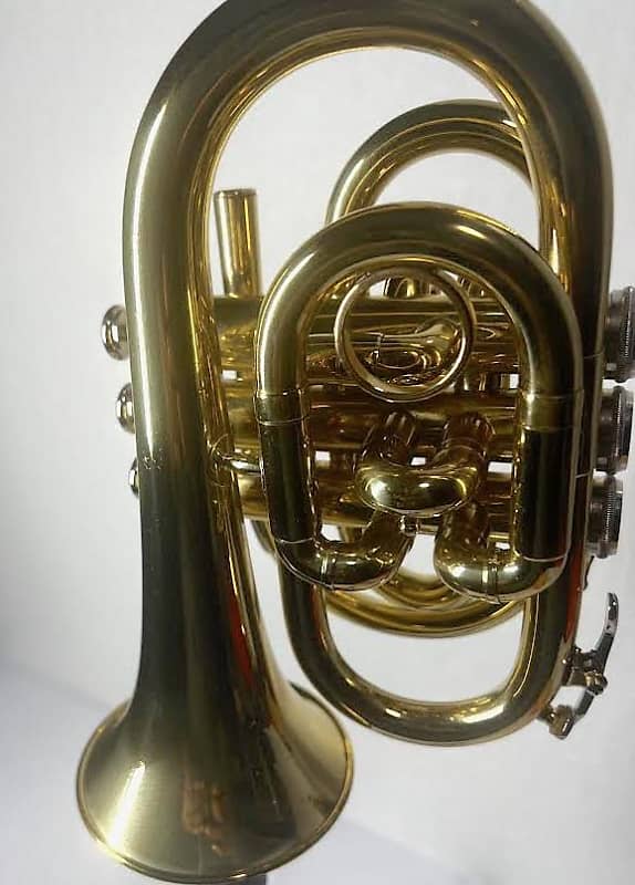 Unbranded Pocket Trumpet (Used) image 1
